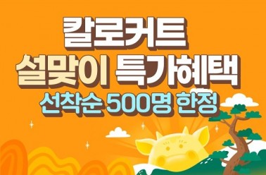 칼로커트, 설맞이 선착순 500명 특가 이벤트