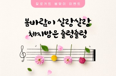칼로커트, 봄맞이 선착순 500명 특별혜택 제공